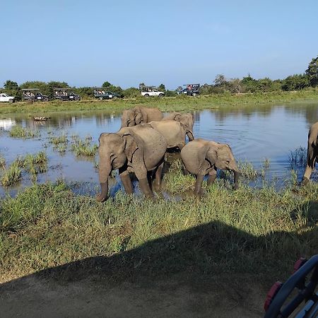 Udawalawa Safari Resort Uda Walawe Extérieur photo