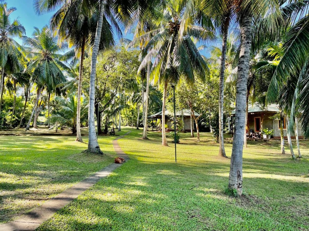 Udawalawa Safari Resort Uda Walawe Extérieur photo