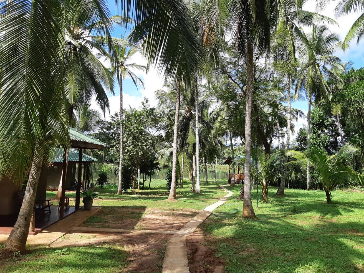 Udawalawa Safari Resort Uda Walawe Extérieur photo