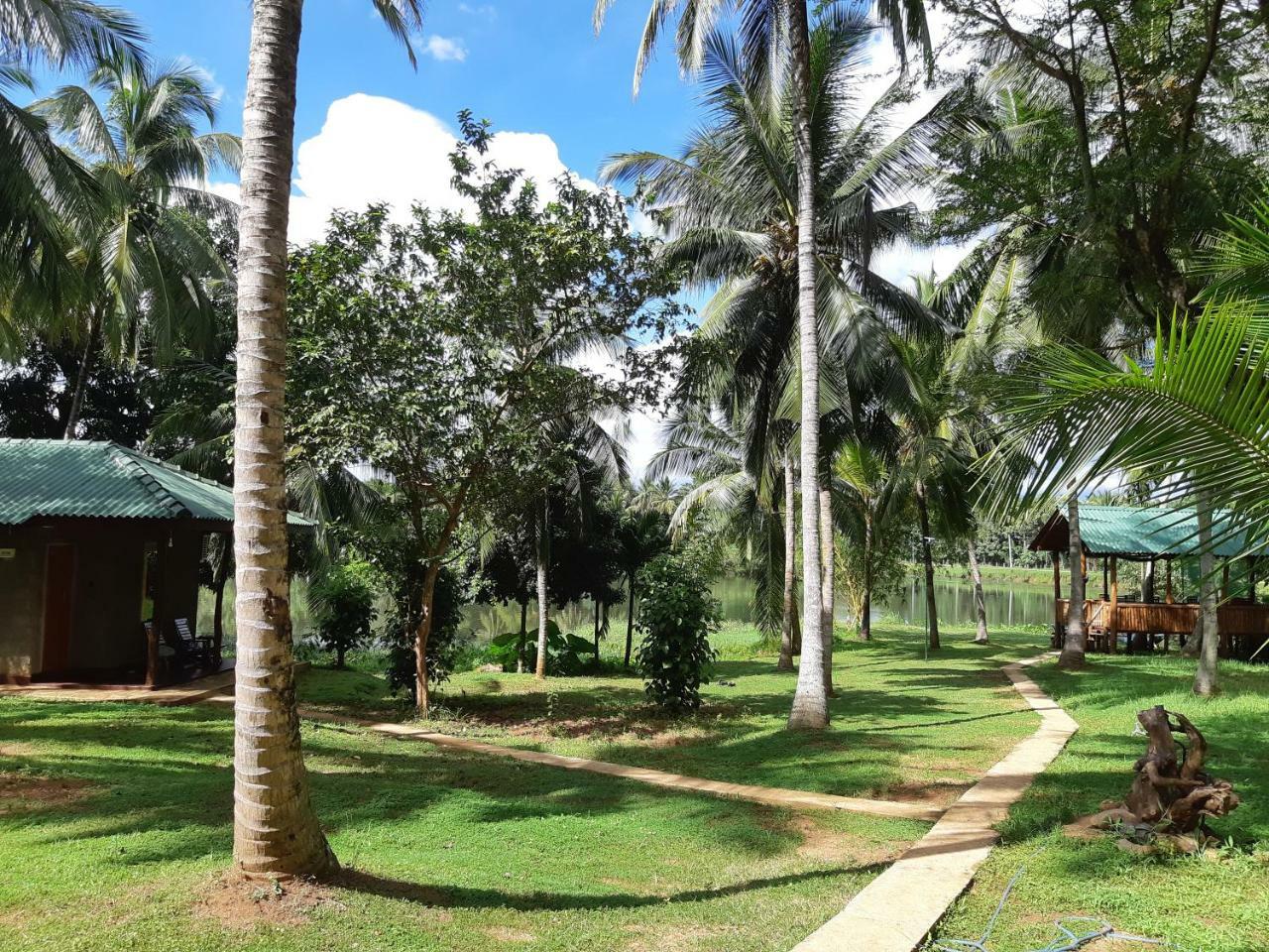 Udawalawa Safari Resort Uda Walawe Extérieur photo